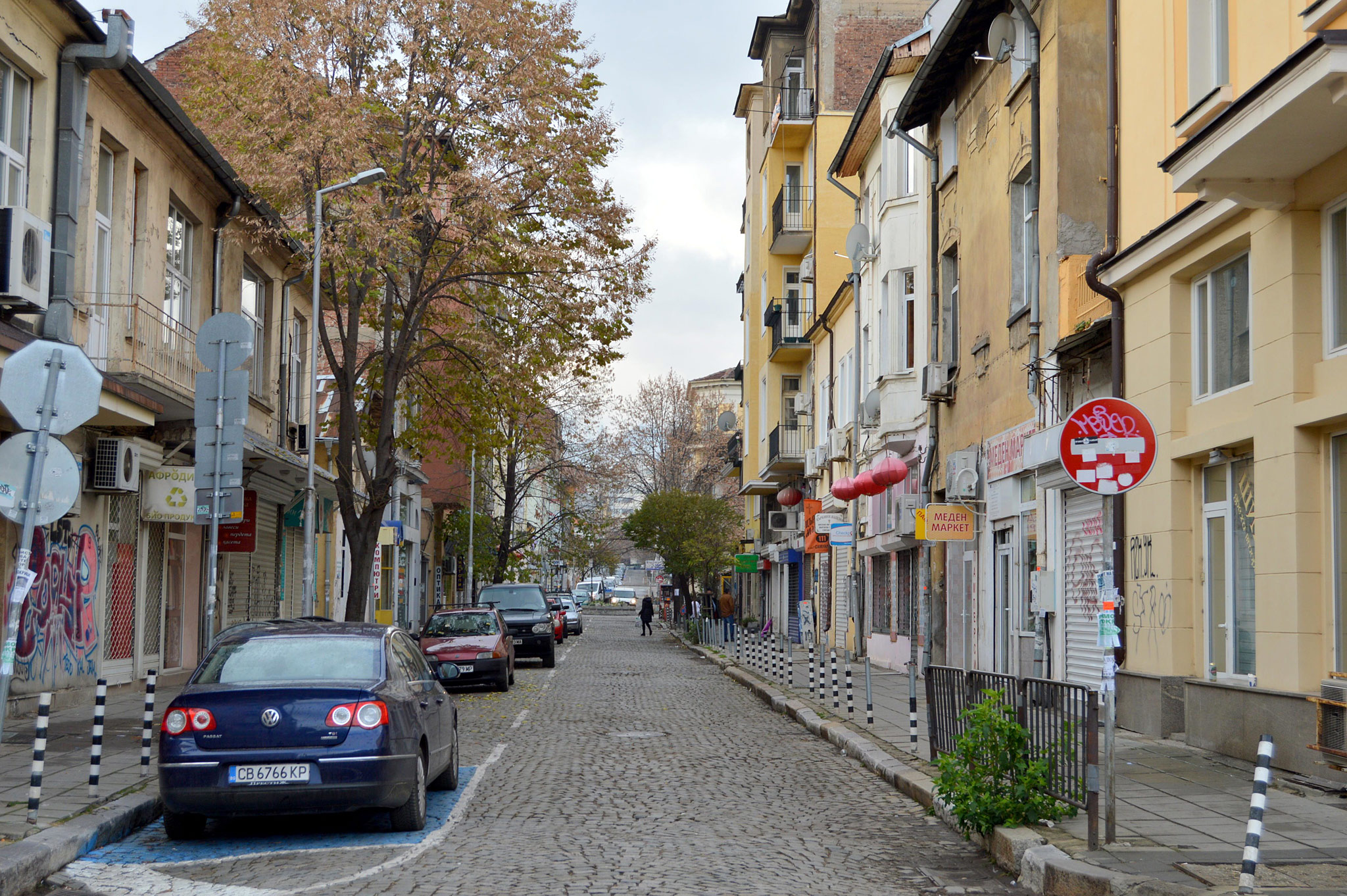 Sofia